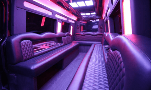 Newark 14 Passenger Sprinter Bus Interior