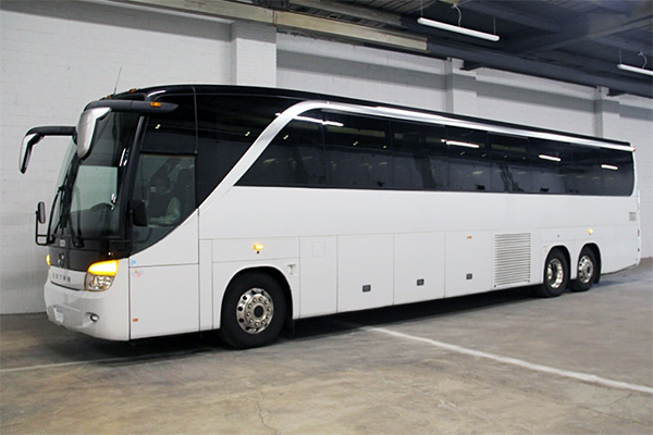 Elizabeth 36 Passenger Party Bus