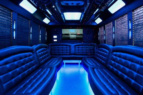 Elizabeth 36 Passenger Party Bus Interior